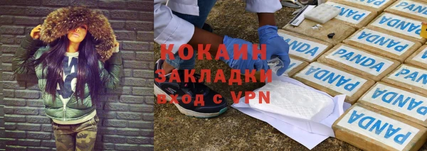прущие крисы Пересвет
