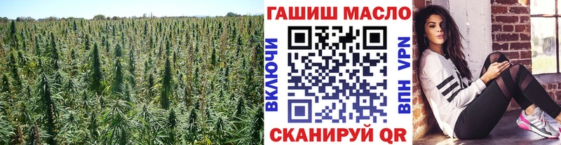 darknet как зайти  Яровое  Дистиллят ТГК жижа 