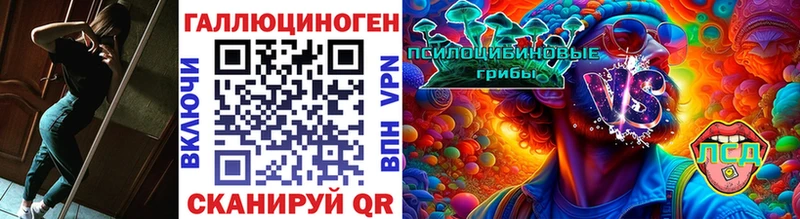 Псилоцибиновые грибы прущие грибы  Яровое 